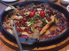 -老板恋上鱼(恒隆广场店)