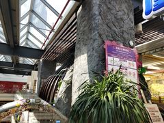 -巴黎春天(浦建店)