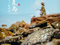-小麦岛公园