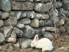 -水上乐园·欢乐世界