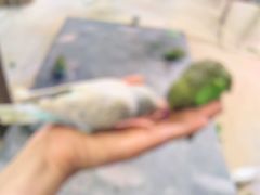 -嘉兴海底世界