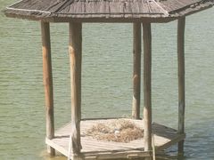 -香山湖公园