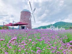 -玫瑰海岸文化旅游度假区