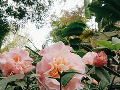 -大妙火锅·非物质文化遗产(东湖公园店)