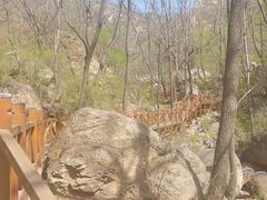 -大岭沟猕猴桃谷风景区