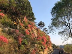 -木兰云雾山