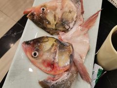 -青岛小羔羊火锅(李村公园店)