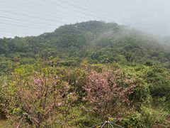 -小南山公园