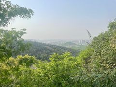-树山生态村