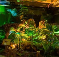 -恐龙探索乐园(磁器口店)