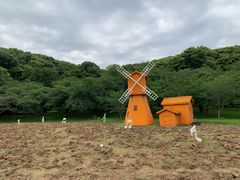-苏州上方山国家森林公园