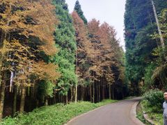 -山王坪喀斯特国家生态公园