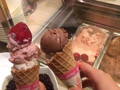 -云龙轩(迪士尼探索家度假酒店)
