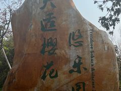 -天适樱花悠乐园