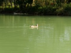 -三门海