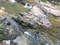 -广州白江湖森林公园