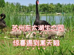 -苏州东太湖生态园