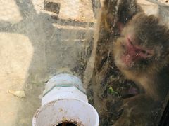 -北京鹿世界主题园