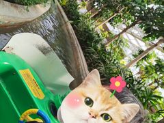 -南宫五洲植物乐园