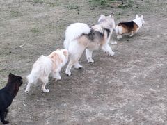 -首开·龙湖成都西宸天街