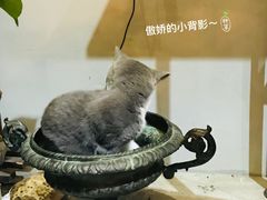 -花十悦·鲜花咖啡餐厅(振业城一期店)