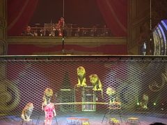 -珠海横琴长隆《卡卡虎奇遇记》