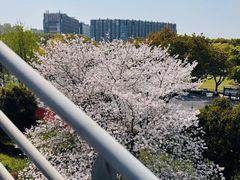 -IKEA宜家家居(南京商场)