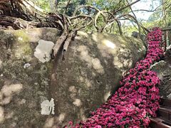 -七仙岭温泉国家森林公园