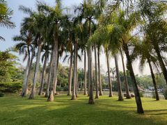 -中国科学院西双版纳热带植物园