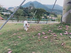 -白石龙音乐公园