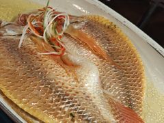 粉皮烧石斑鱼-应天大明王朝·南京菜(中山陵店)