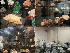-烟台自然博物馆