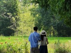 -桤木河湿地公园