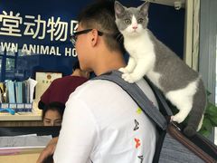 -芭比堂宠物医院·全科爱猫医院·仁德分院