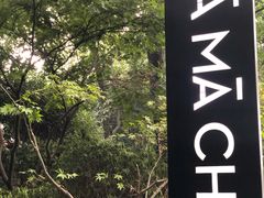 -MAMACHA妈妈茶(岳麓山店)