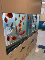 -杭州贝瑞斯美华妇儿医院·早孕·产检·儿科