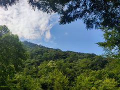 -青城山