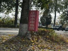 -金台阶鱼馆(于桥水库店)