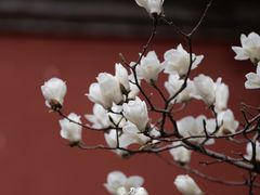 -北京市劳动人民文化宫