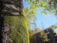 -汤旺河林海奇石景区
