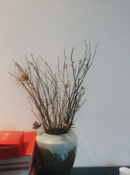 -盘子女人坊古装写真摄影(天津总店)