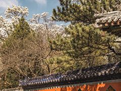 -潭柘寺景区