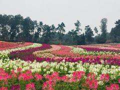 -保利石象湖景区