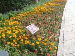 -群力丁香公园