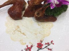 红烧乳鸽-如丰晟宴(长安万达店)