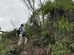 -大罗山风景区