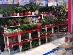 -家乐福(四元桥购物中心店)