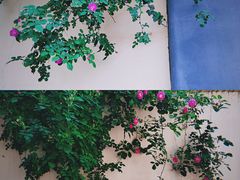 -颐和路民国时期公馆-风貌区