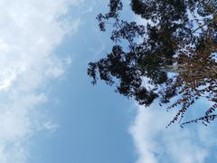 -三圣花乡旅游区