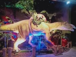 -恐龙探索乐园(磁器口店)